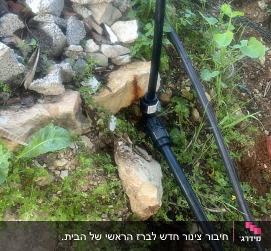 צינור מים וכלי עבודה בגינה
